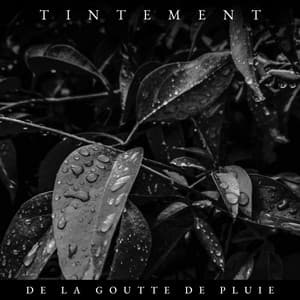 Tintement de la Gouttes de Pluie - Chute de Pluie