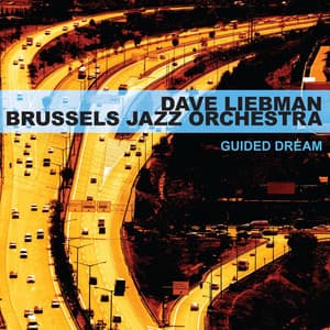Guided Dream - Dave Liebman