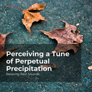 Perceiving a Tune of Perpetual Precipitation - Relaxing Rain Sounds