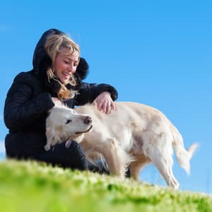 Melodic Pet Paws: Piano Rain Pet Moments - Mellow Melodies