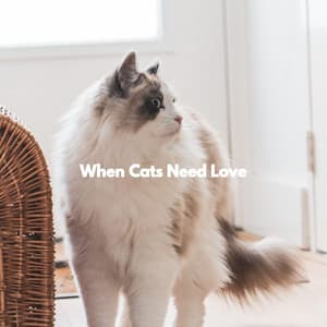 When Cats Need Love - Summer Jazz