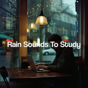 Rain Sounds To Study - Meditation Rain Sounds