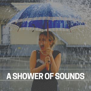 A Shower of Sounds - 24H Rain Sounds
