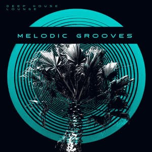 Melodic Grooves - Deep House Lounge