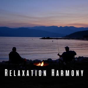 Relaxation Harmony: Chill Music Comfort - Best Cafe Chillout Mix