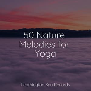 50 Nature Melodies for Yoga - Zen