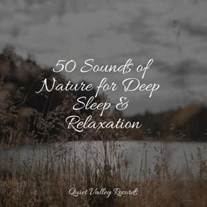 50 Sounds of Nature for Deep Sleep & Relaxation - Zarobi
