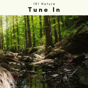 A Tune In - 101 Nature