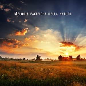 Melodie pacifiche della natura - Relax accademia di benessere