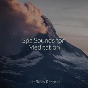 Spa Sounds for Meditation - Children's Music