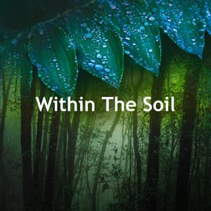 Within The Soil - Rainforest Spa Relaxing