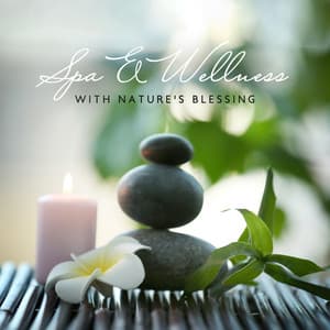 Spa & Wellness with Nature's Blessing - Robin Gardner