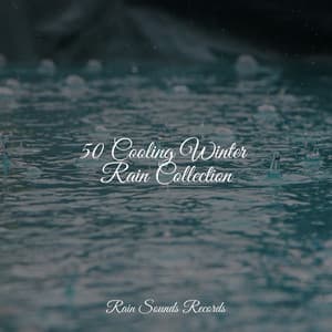 50 Cooling Winter Rain Collection - Massage Therapy Music