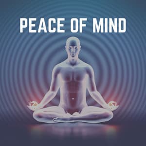 Peace of Mind - Zen Arena