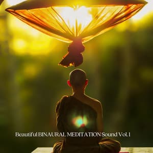 Beautiful BINAURAL MEDITATION Sound Vol. 1 - Reiki Music