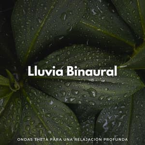 Lluvia Binaural: Ondas Theta Para Una Relajación Profunda - Contacto Binaural