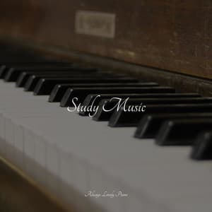 50 Calming Tracks for Complete Relaxation and Concentration - Relajación Piano