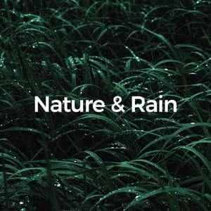 50 Relaxation Nature & Rain Sounds - White Noise Relaxation