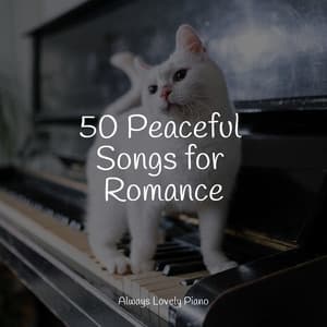 50 Blissful Piano Tracks - Concentration Study