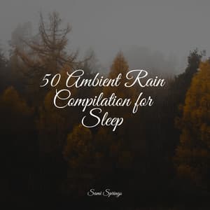 50 Ambient Rain Compilation for Sleep - Sounds Of Nature : Thunderstorm, Rain