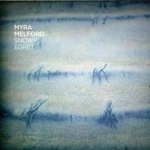 Snowy Egret - Myra Melford
