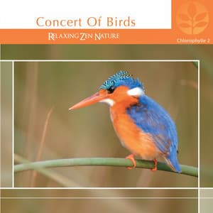 Chlorophylle II Concert of Birds - Relaxing Zen Nature