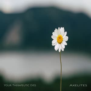 Your Therapeutic Eyes - Axelites