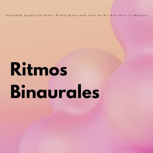 Increíbles Sueños De Patas: Ritmos Binaurales Para Dormir Bien Para Tu Mascota - Inkognitone