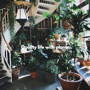 Quality life with plants - Soft Romantic Jazz