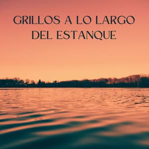 Grillos A Lo Largo Del Estanque - Sonidos de agua dulce para la paz interior