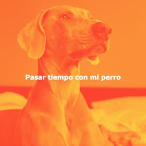 Pasar tiempo con mi perro - Jazz Collections for Reading