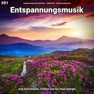 #01 Entspannungsmusik zum Einschlafen, Chillen und für neue Energie - Entspannungsmusik Abteilung