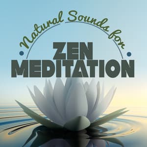 Nature Sounds for Zen Meditation - Ambiance nature