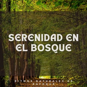 Serenidad en el Bosque: Ritmos Naturales de Enfoque - Bosque Tropical