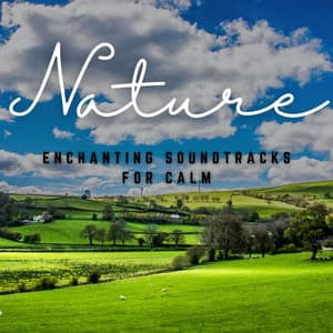 Meditation Serenades: Enchanting Soundtracks for Calm - Meditation and Relaxation