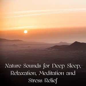 Nature Sounds for Deep Sleep, Relaxation, Meditation and Stress Relief - Sounds of Nature White Noise for Mindfulness, Meditation and Relaxation