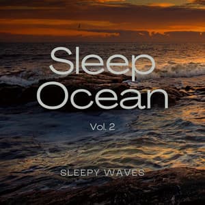 1 Sleep Ocean Vol. 2 - Sea of Calmness