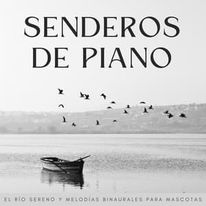 Senderos De Piano: El Río Sereno Y Melodías Binaurales Para Mascotas - Escalofrío de jazz de piano