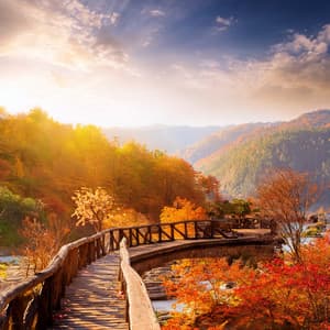 Lofi Chill For Restful Moments Of Relax - Relax Pod