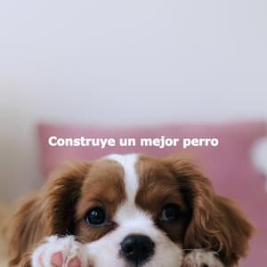 Construye un mejor perro - Quiet Dinner Music