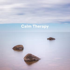Calm Therapy - Therapy Music Sanctuary
