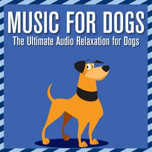 Music for Dogs: The Ultimate Audio Relaxation for Dogs - Music For Pets