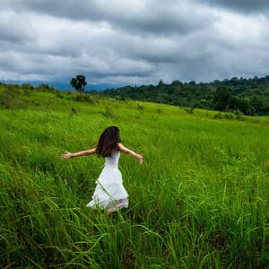 Natural Harmony: Ambient Music for Soothing Relaxation - Ambient Music Collective