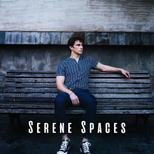 Serene Spaces: Ambient Music for Relaxation - Nighttime Relaxation Melodies