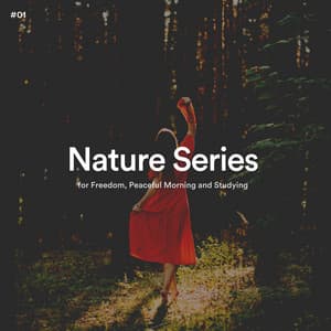 #01 Nature Series for Freedom, Peaceful Morning and Studying - The Nature Soundscapes