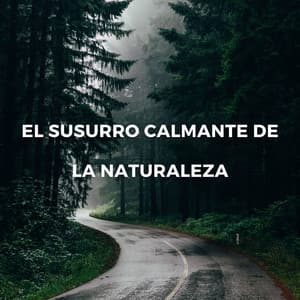 Serenidad Al Anochecer: El Susurro Calmante De La Naturaleza - Hippidion