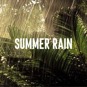 Summer Rain - Soothing Relaxation Rain