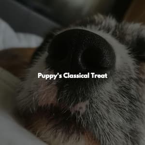 Puppy's Classical Treat - Kaffeehaus Klassiker