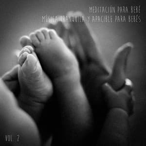 Meditación para Bebé, Vol. 2 - Musica para Bebes Specialistas