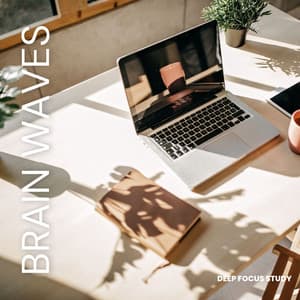 Focus Field: Work Music - Study Now